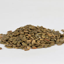 Organic Roasted Salted Pumpkin Seeds (Pepitas)